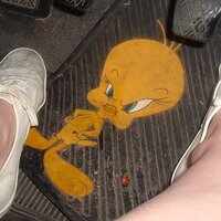 Dirty keds to the floor 024.jpg