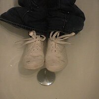 normal_MS533.JPG