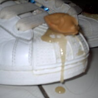 IMAG0016.JPG