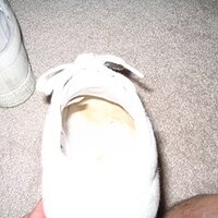 Cum filled Tretorn.JPG