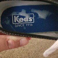 kc5.jpg