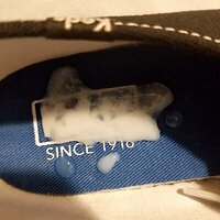 kc6.jpg