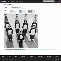 Screenshot 2021-06-17 at 15-22-44 All sizes Immaculate Heart High School Cheerleaders pep team...png
