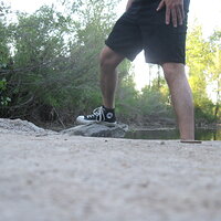 IMG_3317.JPG