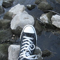 IMG_3343.JPG