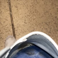 IMG_9211.jpeg