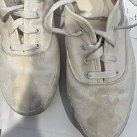 Champion Gender Neutral Creamy.jpg