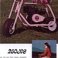 pinky2.jpg