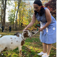 Screenshot 2026-01-02 at 13-48-14 (1) Instagram.png