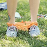 Pitatta - Porcelain Animal (33).jpg