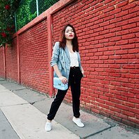 Check-Blazer-4.jpg